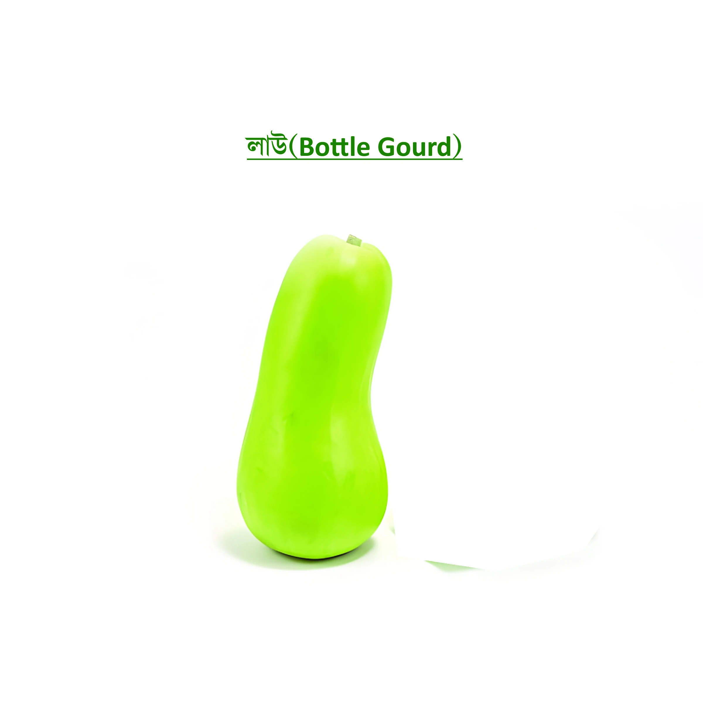 লাউ (Bottle Gourd)