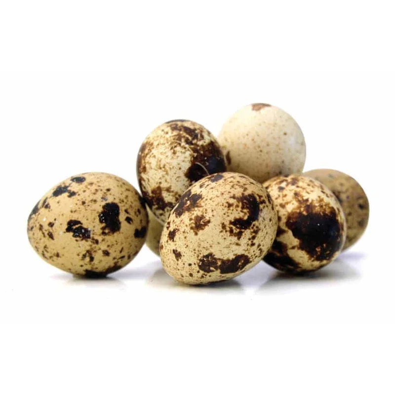 Quail Egg