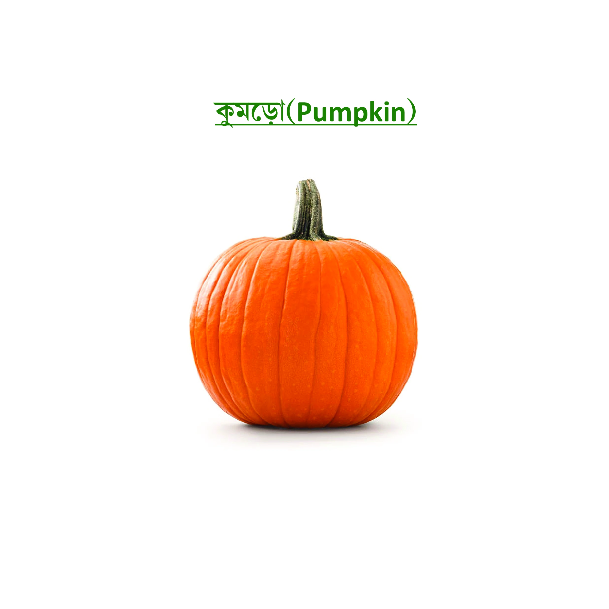 কুমড়ো (Pumpkin)