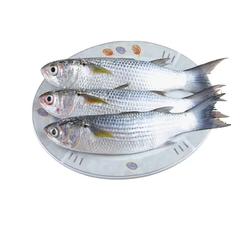 Fresh Parsa Fish