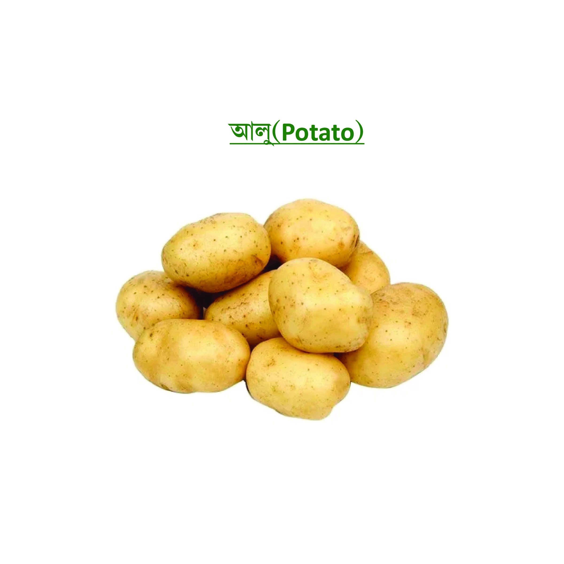 আলু (Potato)