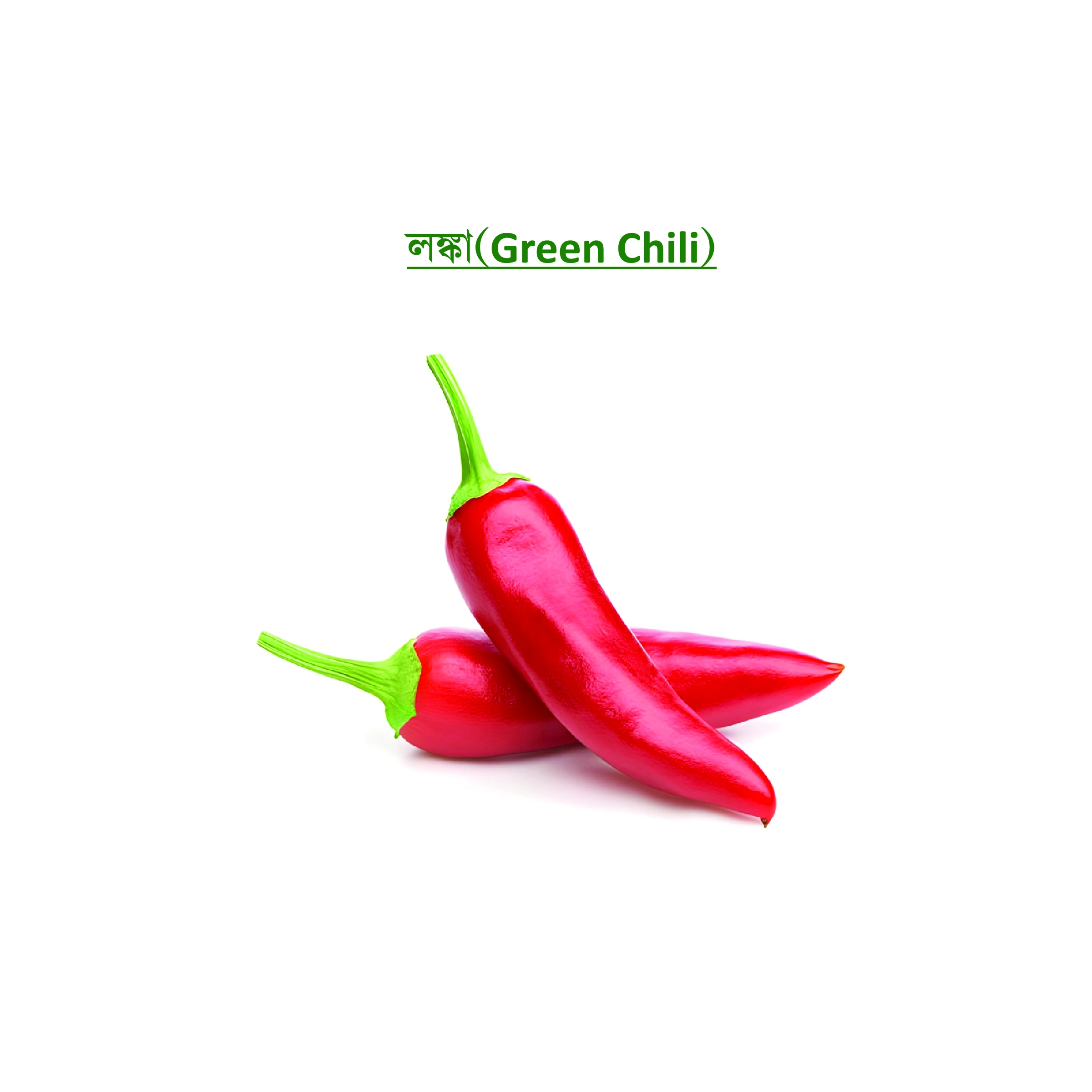 লঙ্কা (Green Chili)