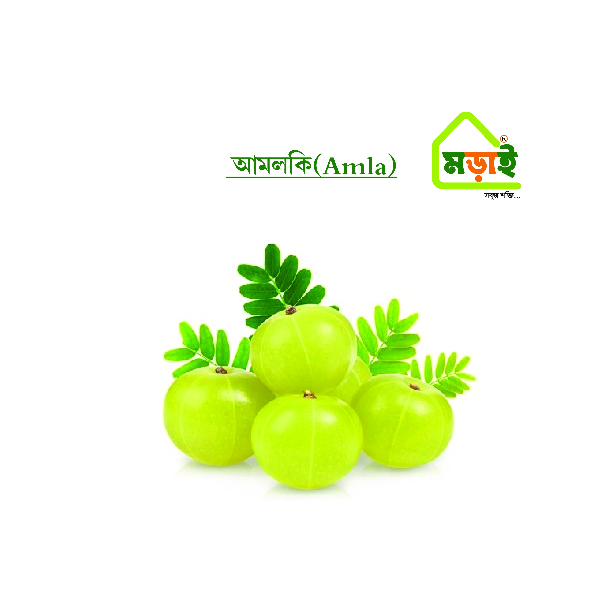 আমলকি (Amla)