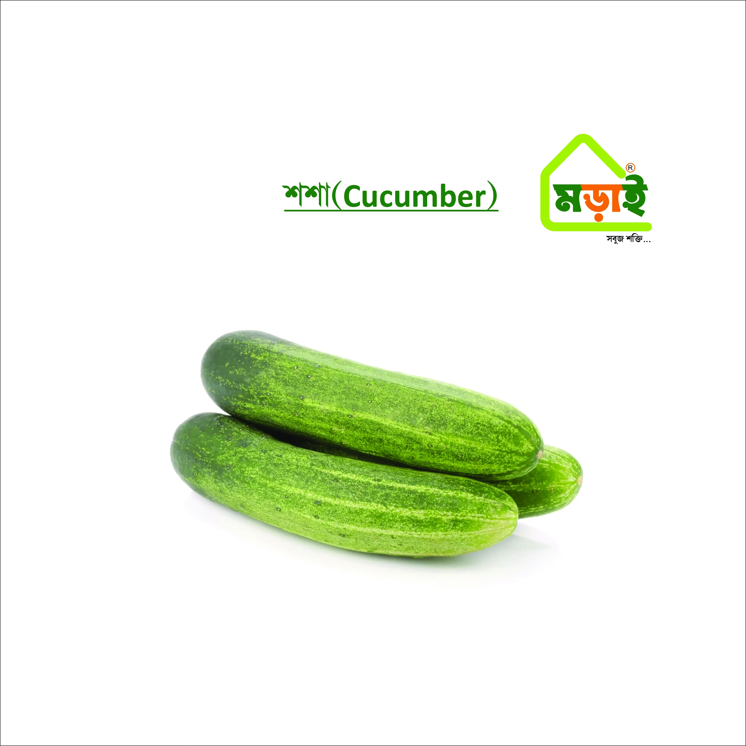 শশা (Cucumber)