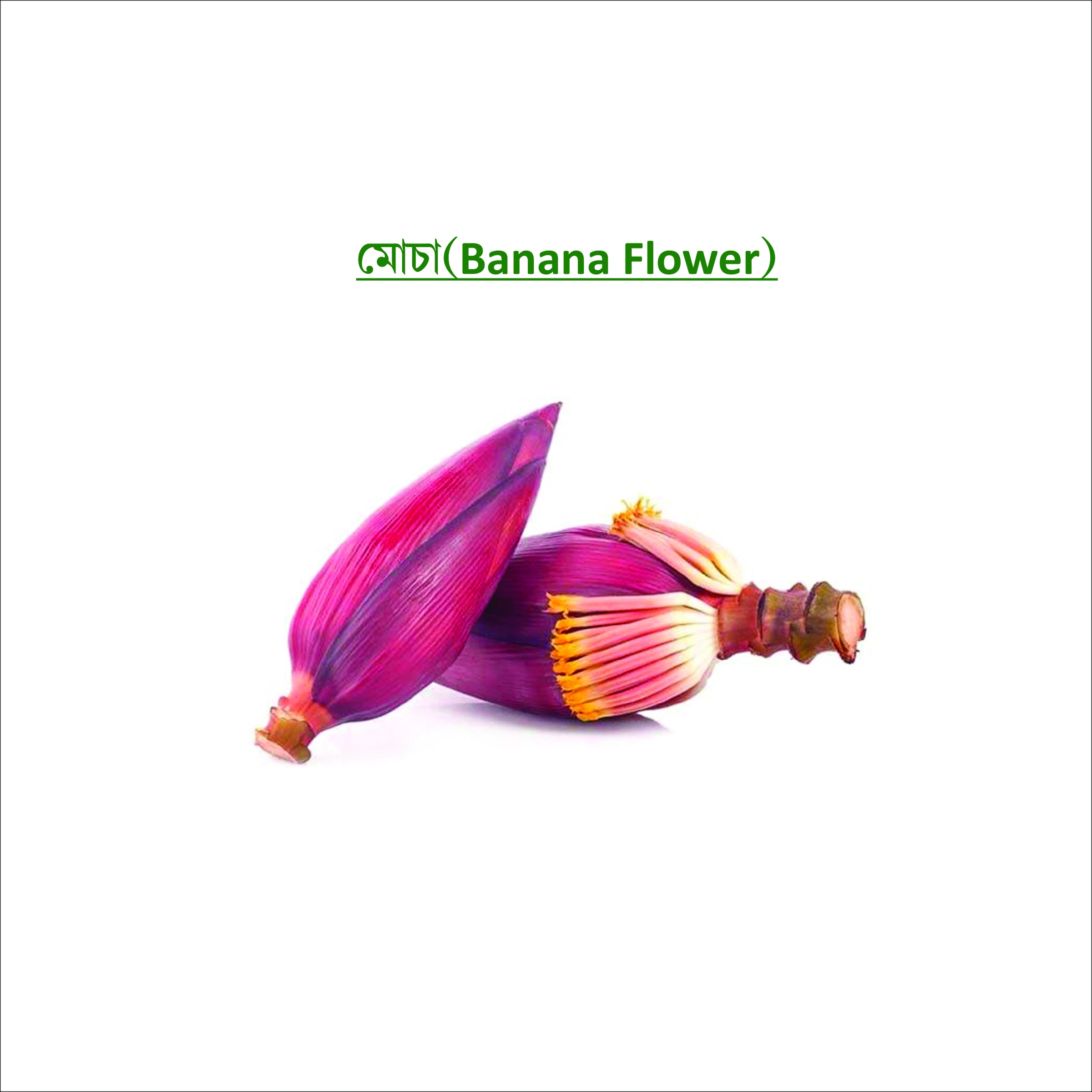 মোচা (Banana Flower)