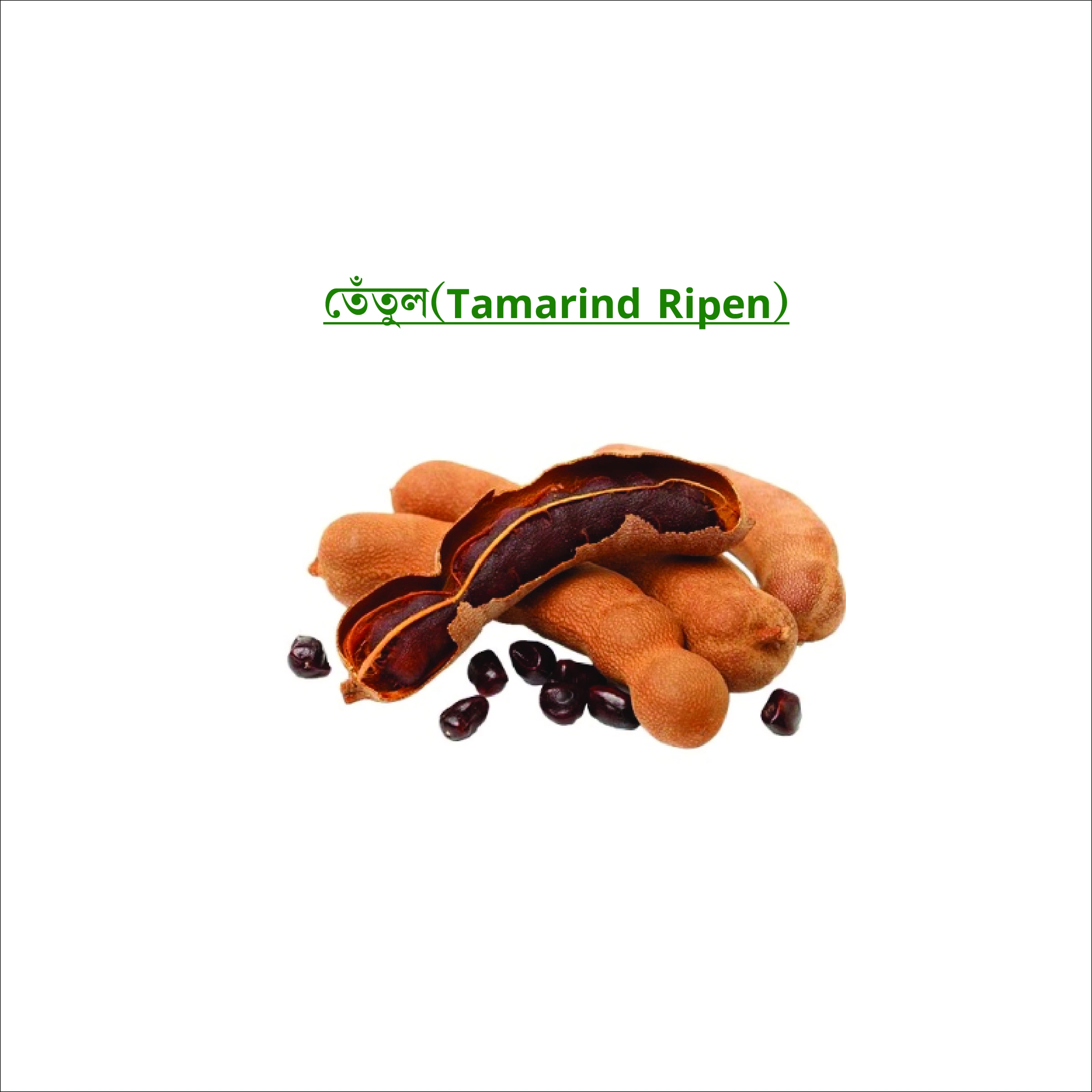 তেঁতুল (Tamarind Ripen)