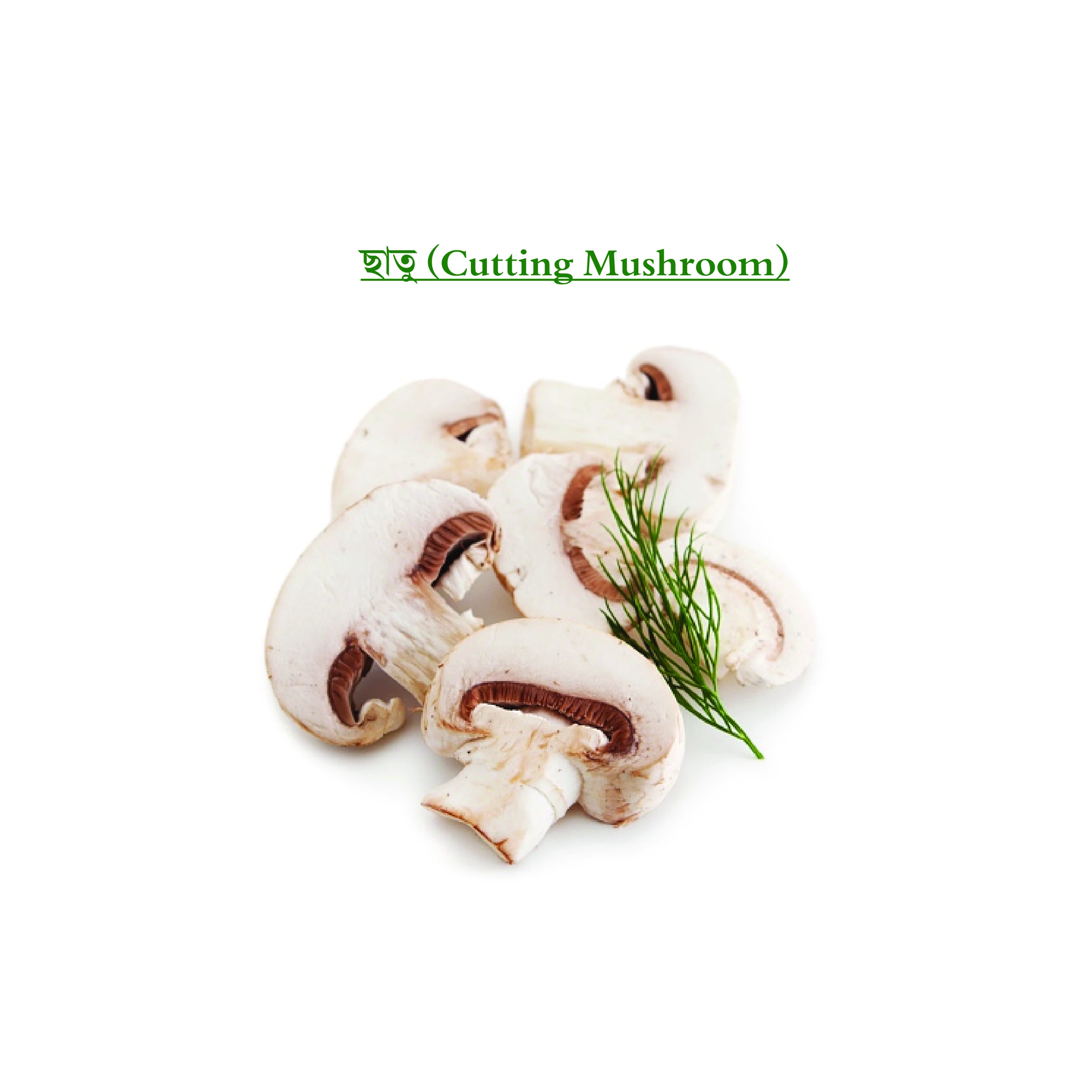 ছাতু (Cutting Mushroom)