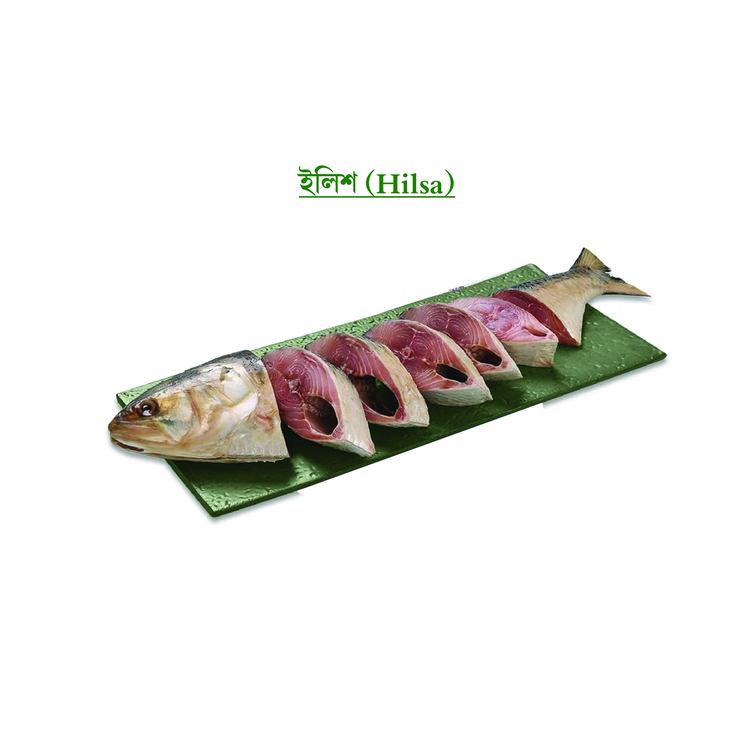 ইলিশ (Hilsa)