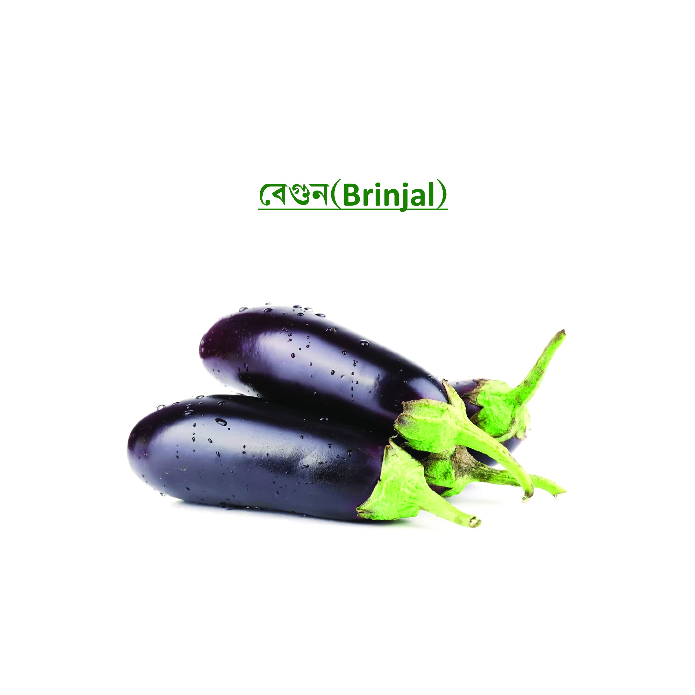 বেগুন (Brinjal)