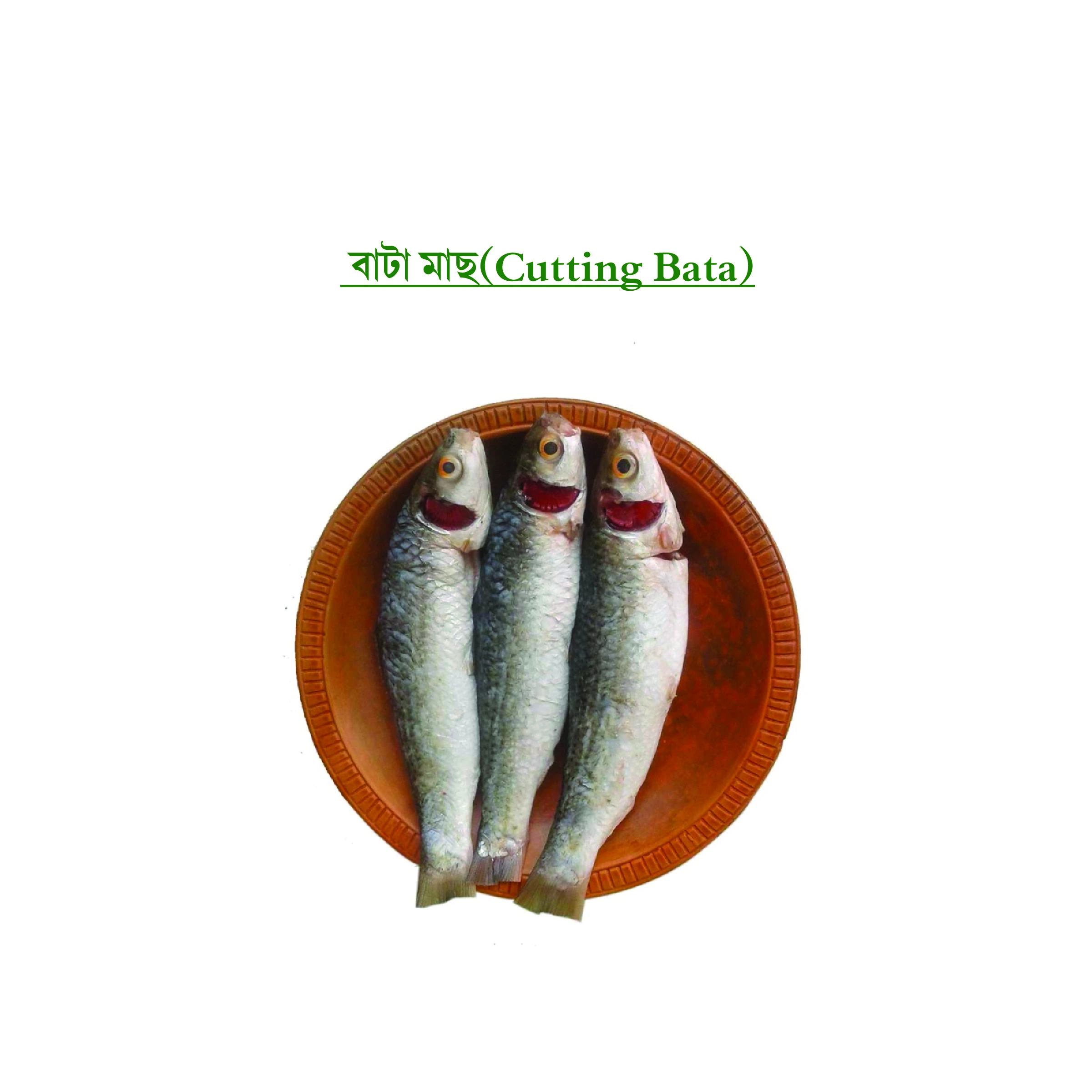বাটা মাছ (Cutting Bata)