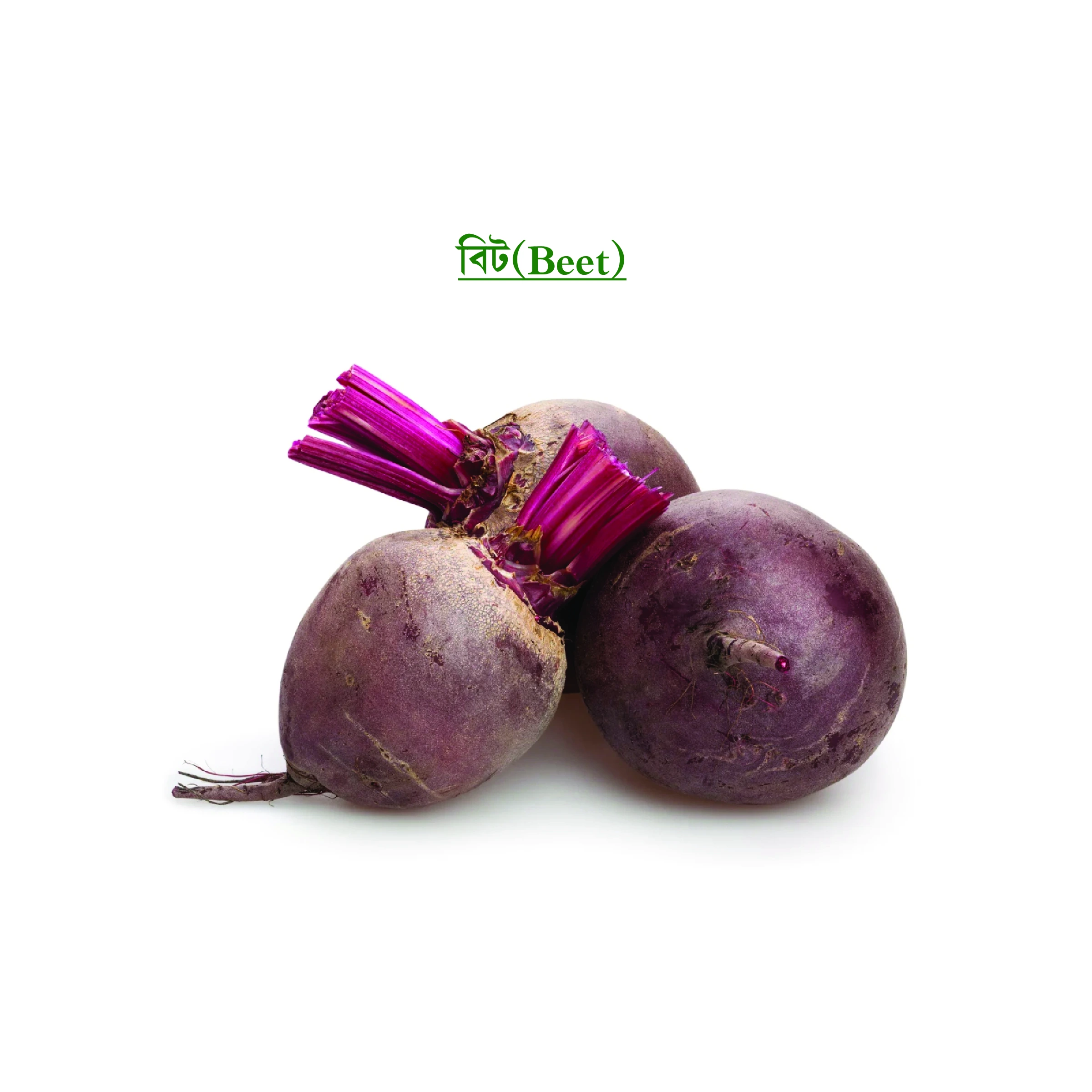 বিট (Beet)
