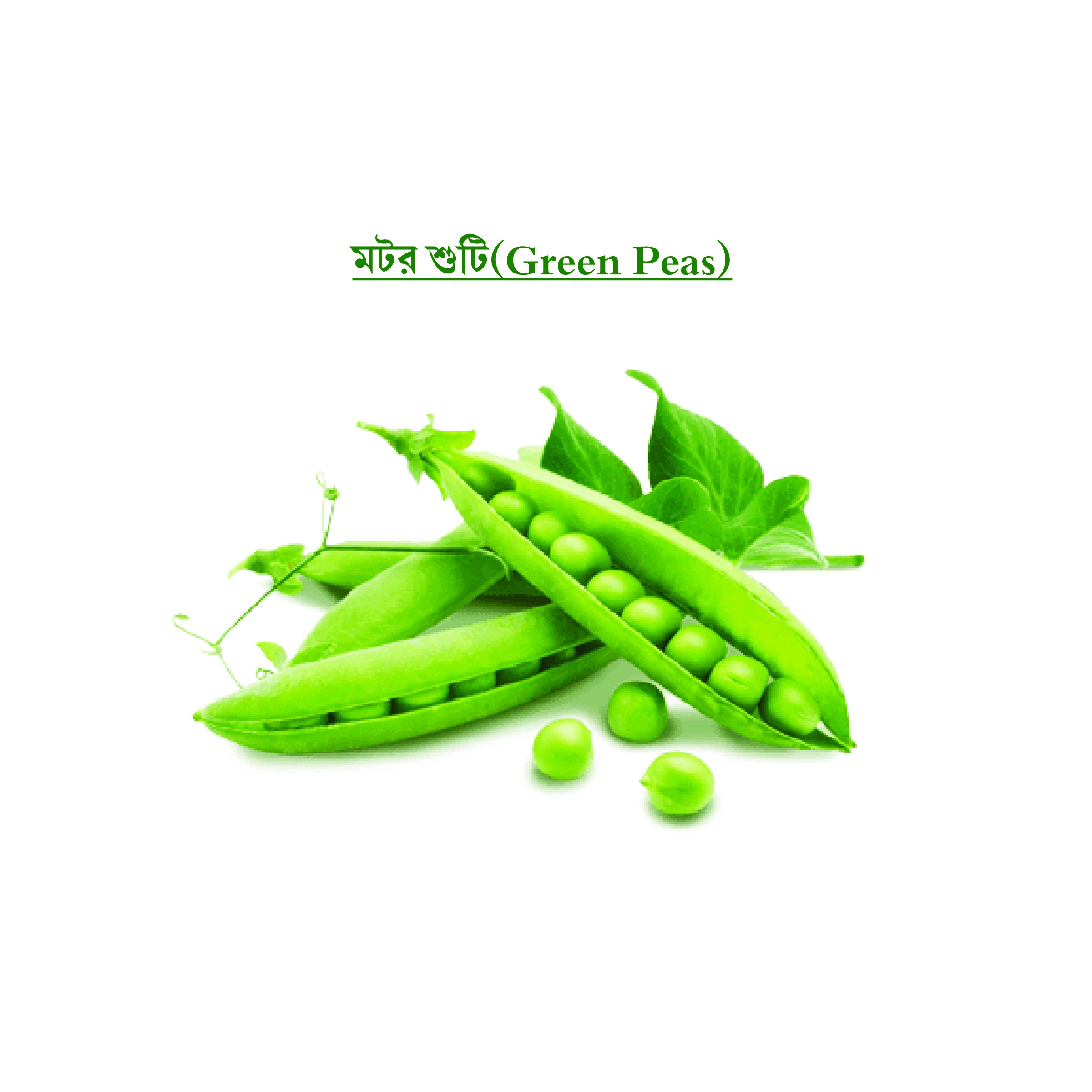 মটরশুঁটি (Green Peas)