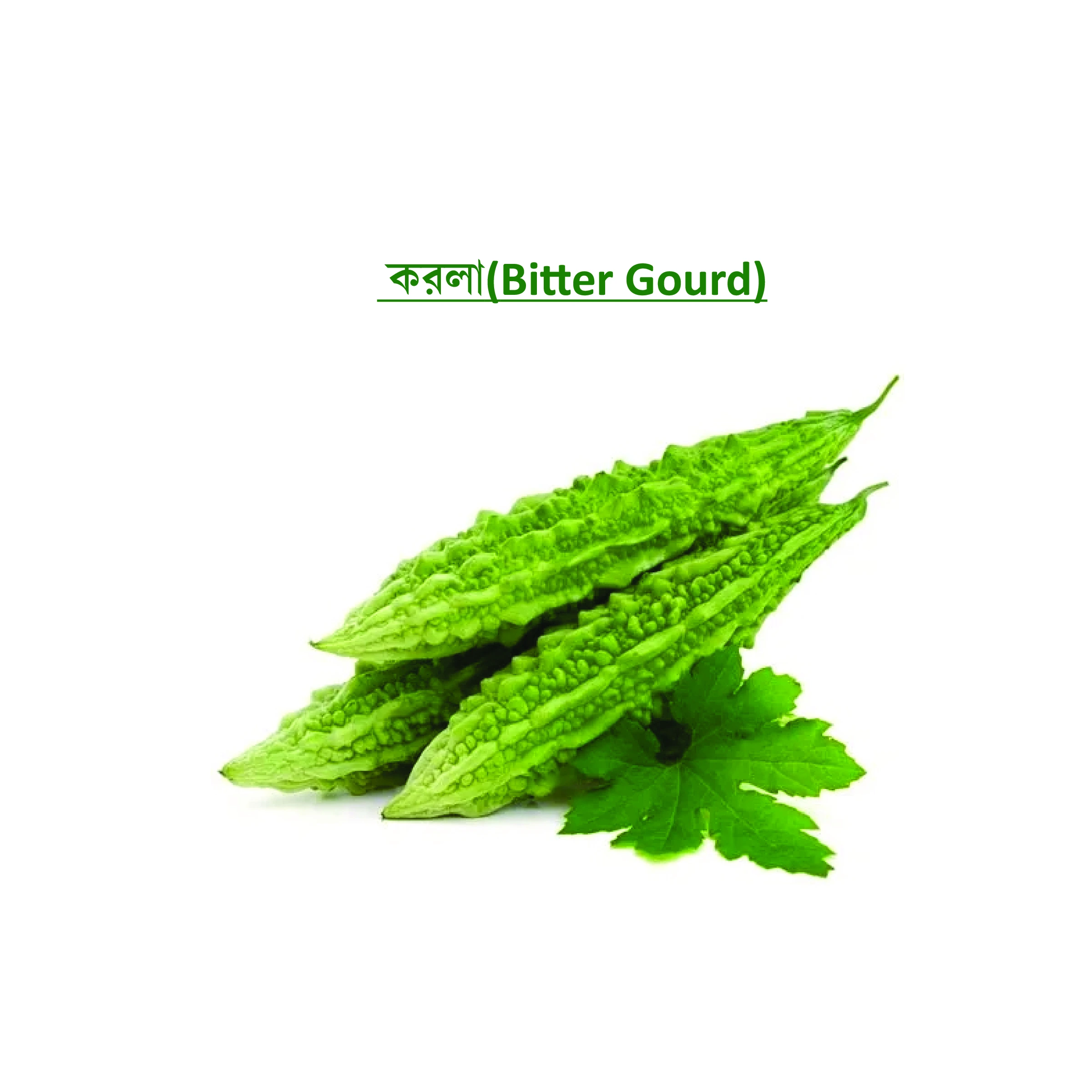 করলা (Bitter Gourd)